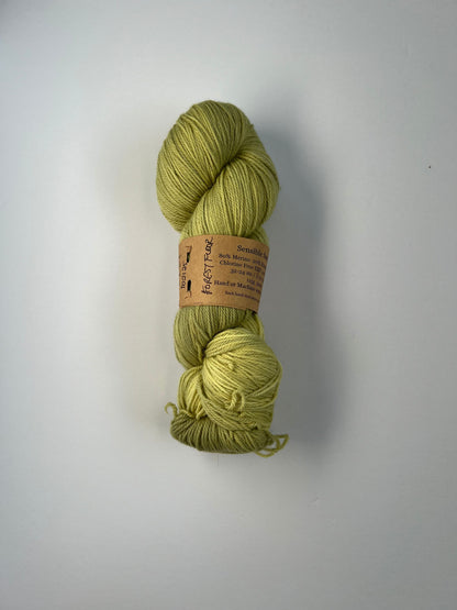 Sensible Sock - Forest Floor 102125